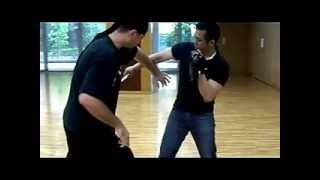 Taichi KNIFE Fighting  Raw Combat Japan 英語：日本語） [upl. by Ehcadroj598]