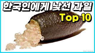 대부분의 한국인들이 접하기 힘든 생소한 과일 Top 10 [upl. by Anizor770]