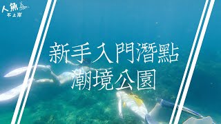 東北角潛水｜潮境公園｜浮潛｜自由潛水｜人魚不上岸｜Vlog1 [upl. by Merideth]