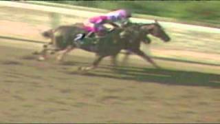 2014 Belmont Stakes  History in the Making with Steve Cauthen [upl. by Neidhardt]