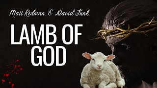 LAMB OF GOD LyricsMatt Redman and David FunkLamb Of God Gospel Worship Song [upl. by Sardella502]