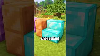 Block Paling ILLEGAL Di Minecraft [upl. by Hanzelin329]