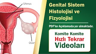 05  Genel Embriyoloji  Hızlı Tekrar [upl. by Sibel]