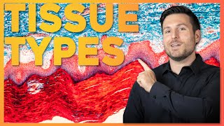 Intro to Histology The Four Tissue Types  Corporis [upl. by Toffey]