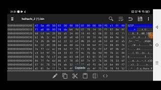 HEX EDITOR costume parte 1 [upl. by Brad]