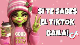 💋Si Te Sabes El Tiktok Baila  2024 💋 [upl. by Sinegra]