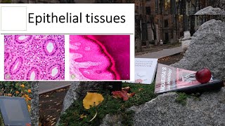 5Epithelial tissues histology lectures 1080p [upl. by Licec]