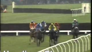 1993 Martell Aintree Limited Handicap Chase Boutzdaroff Full Race [upl. by Itsur]