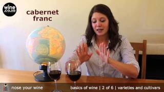 Varieties amp Cultivars 2 of 6  Basics of Wine [upl. by Pattie658]