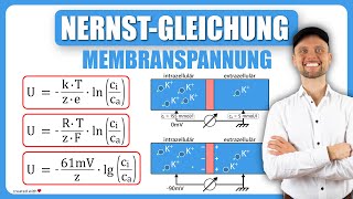 NernstGleichung Physiologie  Membranspannung  Physikum M1 Übungsaufgaben [upl. by Asikal]