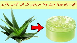 Homemade Aloe Vera Gel amp Preserve it – 6 Months ka Liya Aloe Vera Gel Ghar Par Banaye in HindiUrdu [upl. by Naitsihc]