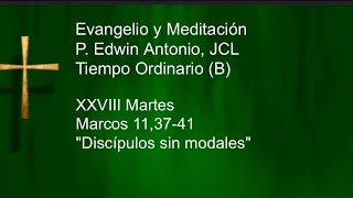 Evangelio XXVIII Martes TO B Lc 113741 quotDiscípulos sin modalesquot P Edwin Antonio Video Católico [upl. by Hassi]