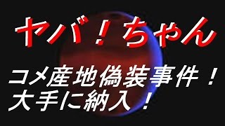 【ヤバ！】米産地偽装事件！中国産を国産！イオン・フジパンに納入！ [upl. by Eednil]