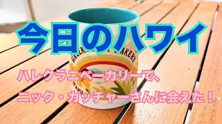 【今日のハワイ】Hawaii Today ハレクラニベーカリーでニック・カッチャーさんのサイン会開催してます！ [upl. by Web]