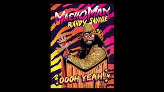 Macho Man Randy Savage Ooooo Yeah Sound Effect [upl. by Alol341]