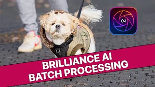 Batch Processing Brilliance AI in On1 Photo Raw 2024 [upl. by Nikolaus79]