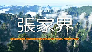 張家界天門山國家森林公園，去張家界旅遊，看完這個視頻就夠了Zhangjiajie Tianmen Mountain National Forest Park [upl. by Akemahc]