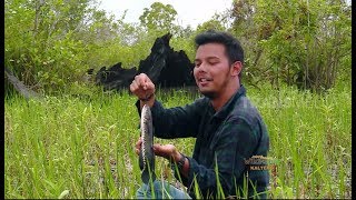 JEJAK PETUALANG  MEMBURU TANGKAPAN LIAR CARA TRADISIONAL 200618 23 [upl. by Ahker632]