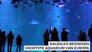 Nausicaá Aquarium in BoulognesurMer bezoeken [upl. by Ahseetal434]