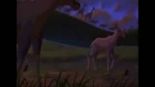 Lion King  he lives in you multilanguage Full versions Part 2 [upl. by Lehcyar]