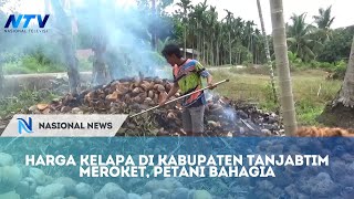 HARGA KELAPA DI KABUPATEN TANJABTIM MEROKET PETANI BAHAGIA [upl. by Relyks706]