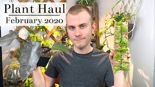 Huge Houseplant Haul  February 2020 [upl. by Ruhl892]