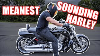 VRod Muscle TAB Performance Exhaust  Harley Davidson Acceleration Revs Walkaround amp Best Sounds [upl. by Melody]