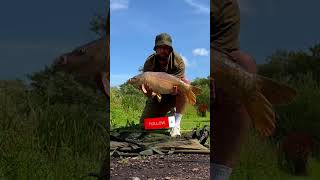 Korda Goo  It really works fishing carpangler carpfish carp korda carpangling [upl. by Triley]