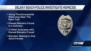 Delray Beach police investigate homicide [upl. by Jamille398]