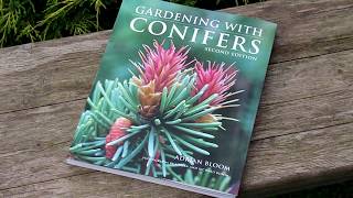 Gardening with Conifers [upl. by Harvard]