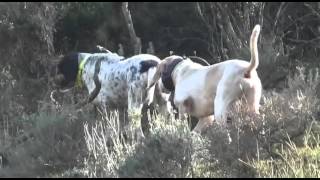 Un Joyeux Noel à tous les Chasseurs de Corse et du Monde entier Bone Feste di NATALE 2015 [upl. by Aronoh]