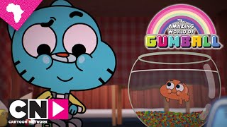 Gumball  The Third clip  Cartoon Network [upl. by Siul]