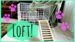 Guinea Pig Cage Loft  Overview [upl. by Kiran]