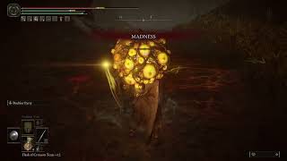 How to kill the Winter Lanterns The untouchables in elden ring Check description [upl. by Durno]