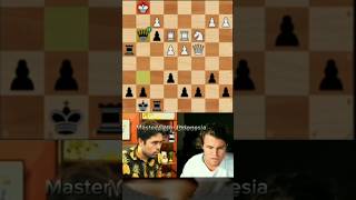 Mikhail Tals Unstoppable Triple Tactic bobbyfisher mikhailtal [upl. by Ecaj]