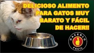 Delicioso Alimento Para Gatos  Hacerlo Fácil [upl. by Launame730]