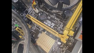 BIOS DE BOARD ASUS H81MA UPDATE BIN [upl. by Kra900]