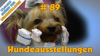 TGH 89  Rasse  Hundeausstellungen  Hundeschule Stadtfelle [upl. by Drofwarc]