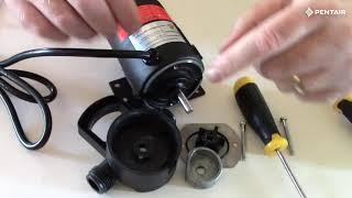 Basic repair of Pentair Flotec FP0F360AC CYCLONE™ Water Removal Utility Pump [upl. by Murvyn]