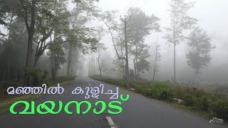 Wayanad Muthanga  Gundlupet forest road trip [upl. by Fogarty]