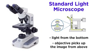 Light Microscopy Function and Utility [upl. by Schnell]