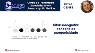 Ultrassonografia conceito de ecogenicidade [upl. by Hawkins]