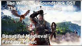 The Witcher 3 Soundtrack OST  The Fields of Ard Skellig [upl. by Notreb]