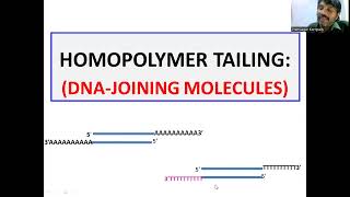 Homopolymer tailing DNA Joining Molecules [upl. by Auhsuj]