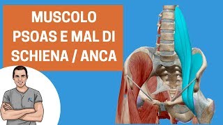 Muscolo ileo psoas importante per migliorare dolori di anca e schiena [upl. by Hanaj]