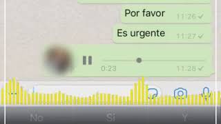 PAPÁ ENOJADO EN GRUPO DE WHATSAPP COMPLETO [upl. by Loginov]