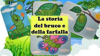 La storia del bruco e della farfalla metamorfosidellafarfalla scienze dad [upl. by Niwred]