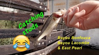 Three TOUGH but GOOD days on Bayou Bonfouca Bayou Lacombe and East Pearl [upl. by Clive]