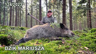 SUDECKA OSTOJA 1242023 Dzik Mariusza  wildboar hunting [upl. by Laforge829]