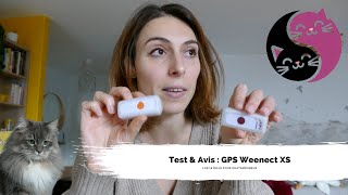 Avis amp Test GPS chat Weenect XS  Chatsmoureuxfr [upl. by Oidualc]